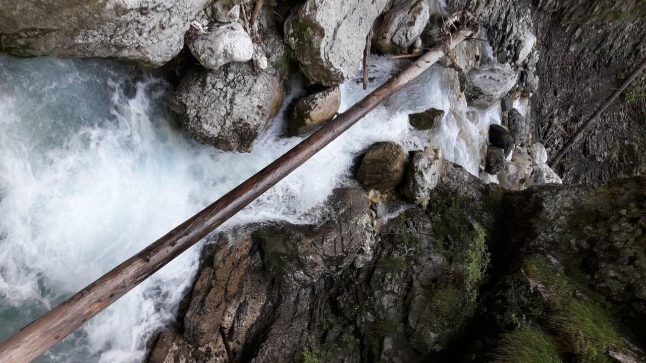 Apartma Pika Mojstrana Esterno foto