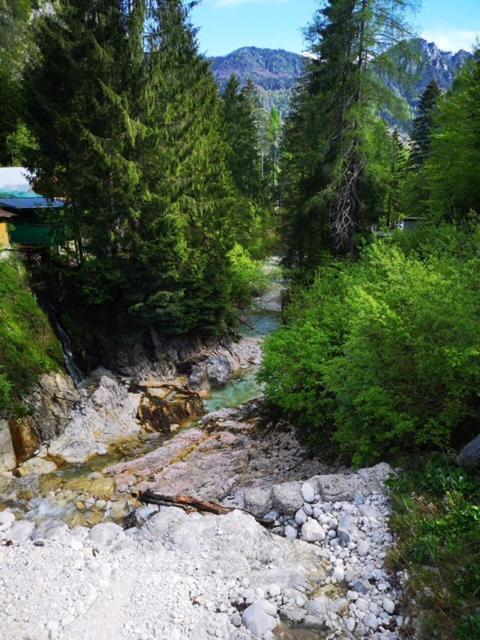 Apartma Pika Mojstrana Esterno foto